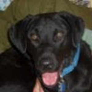 Meet your Posher, Leanne